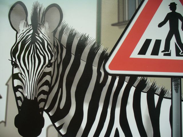 policie zebra